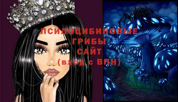 мяу мяу мука Верея