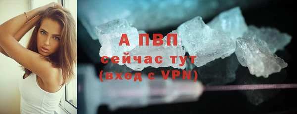 мяу мяу мука Верея