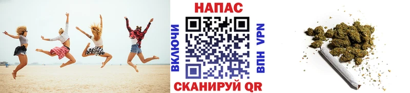 Шишки марихуана гибрид Новосокольники
